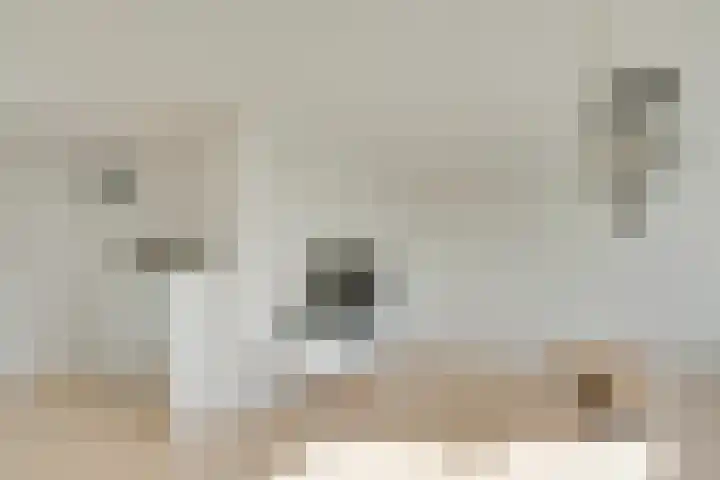 Theemsdreef 438 Utrecht thumbnail 17