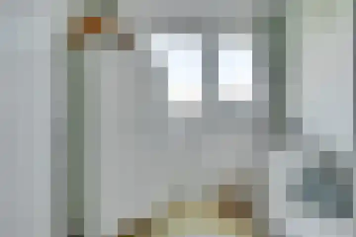 Theemsdreef 438 Utrecht thumbnail 24