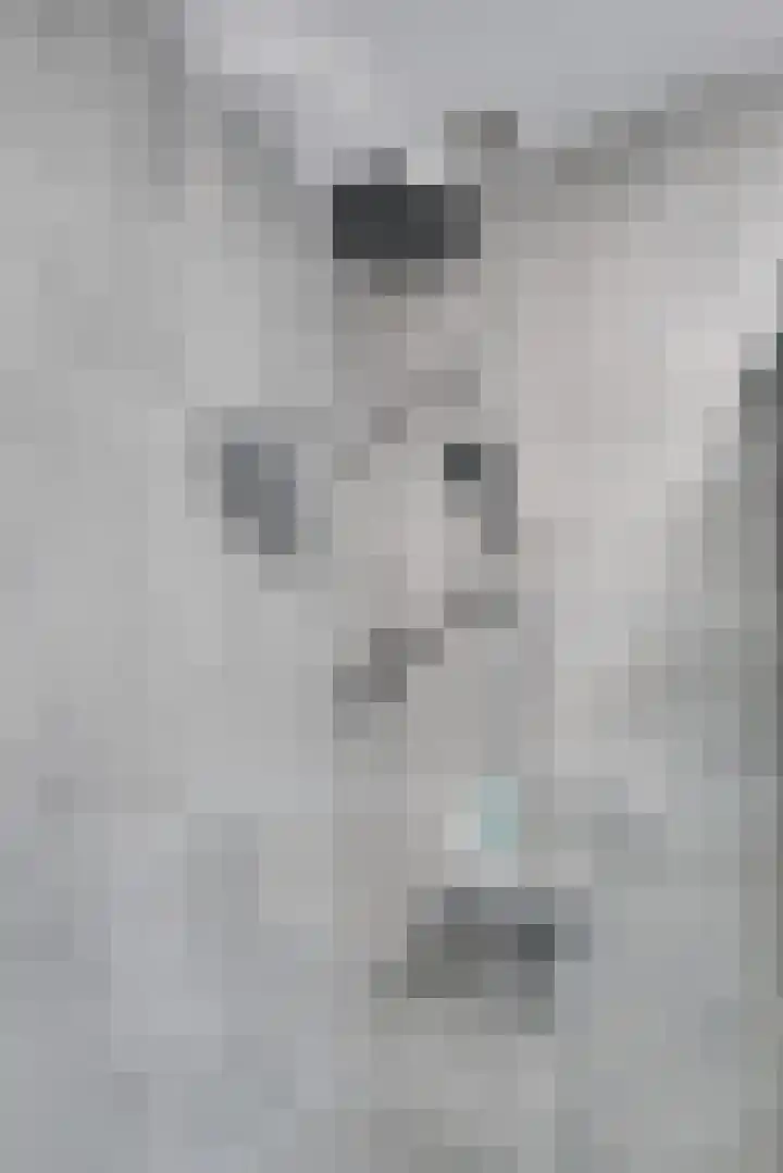 Theemsdreef 438 Utrecht thumbnail 32