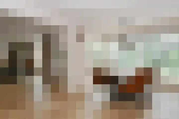 Theod. Pubbenstraat 2 Helden thumbnail 13