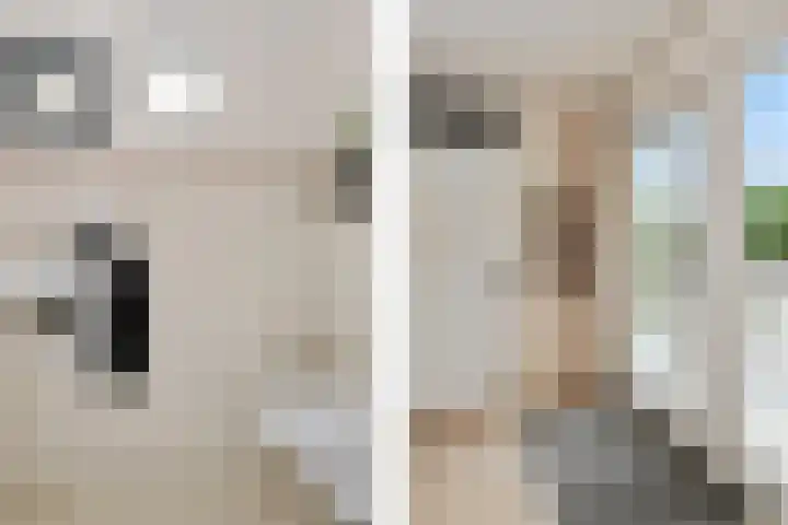 Theod. Pubbenstraat 2 Helden thumbnail 16