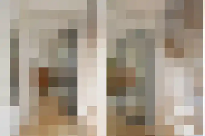 Theod. Pubbenstraat 2 Helden thumbnail 17