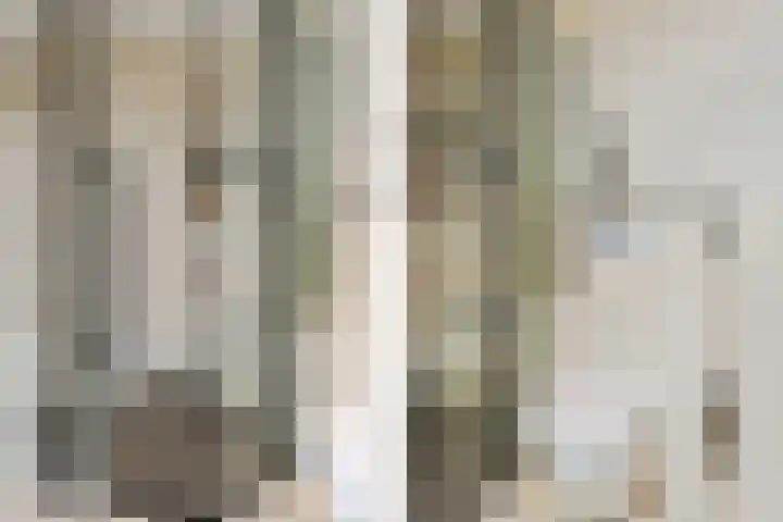 Theod. Pubbenstraat 2 Helden thumbnail 24