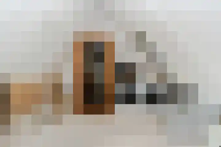 Theod. Pubbenstraat 2 Helden thumbnail 27