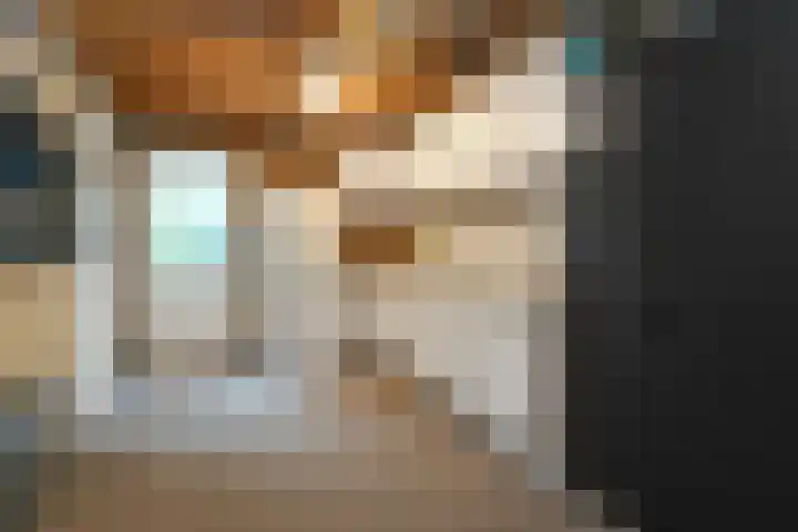 Theod. Pubbenstraat 2 Helden thumbnail 28