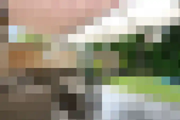 Theod. Pubbenstraat 2 Helden thumbnail 31