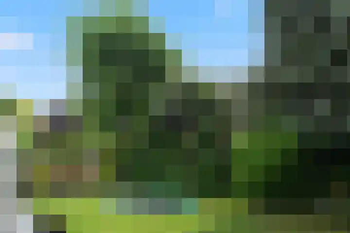 Theod. Pubbenstraat 2 Helden thumbnail 33