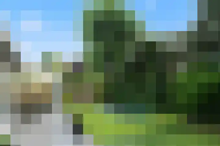 Theod. Pubbenstraat 2 Helden thumbnail 34