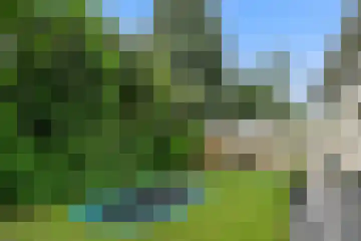 Theod. Pubbenstraat 2 Helden thumbnail 36
