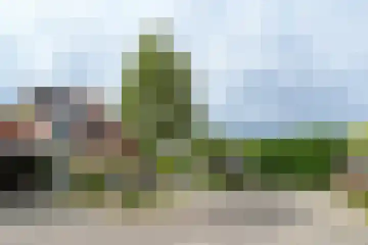 Theod. Pubbenstraat 2 Helden thumbnail 40