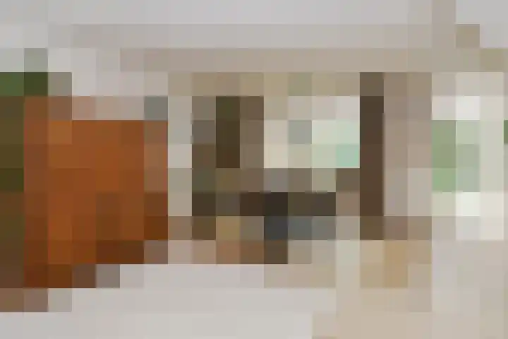 Theod. Pubbenstraat 2 Helden thumbnail 6
