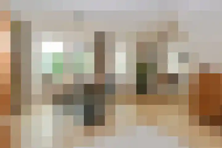 Theod. Pubbenstraat 2 Helden thumbnail 7