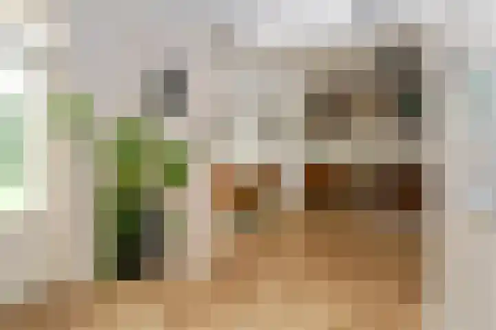 Theod. Pubbenstraat 2 Helden thumbnail 8
