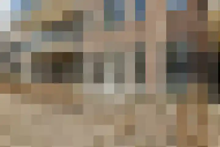 Theologicum 2 Warmond thumbnail 13