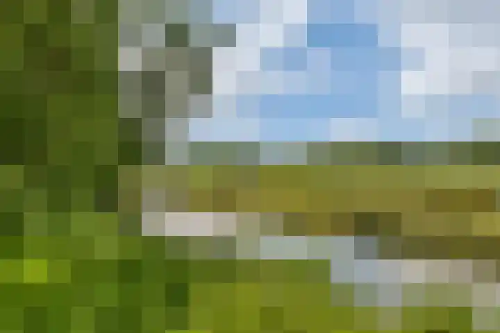 Theologicum 2 Warmond thumbnail 21