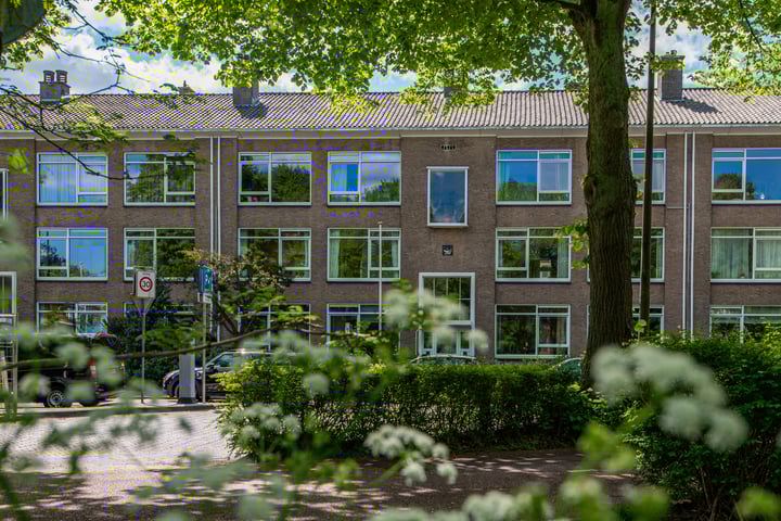 Thérèse Schwartzestraat 32 in 's-Gravenhage foto