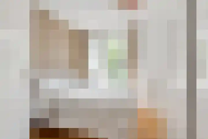 Theseusstraat 16 2 Amsterdam thumbnail 21
