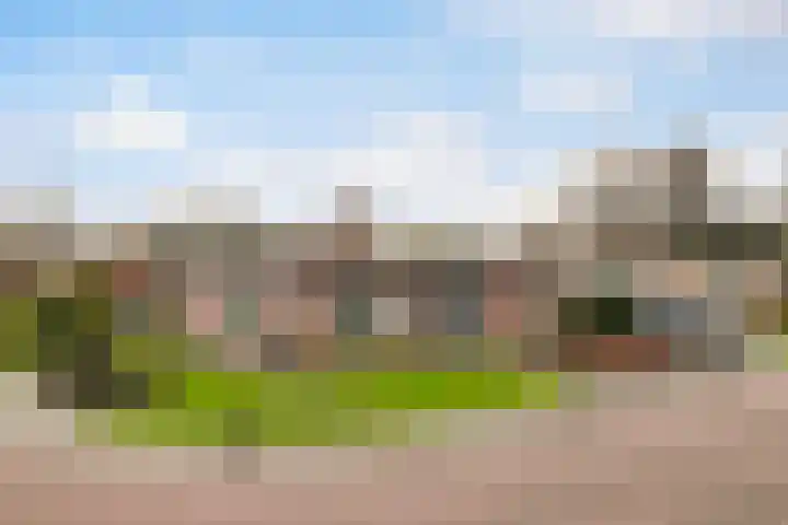 Thiedamawei 10 in Damwâld