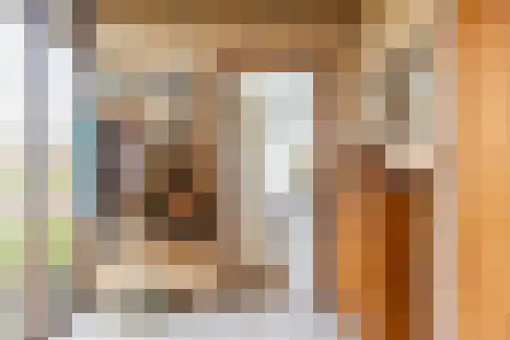 Thiedamawei 10 Damwâld thumbnail 11