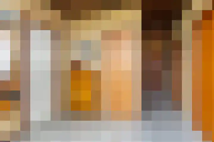 Thiedamawei 10 Damwâld thumbnail 12