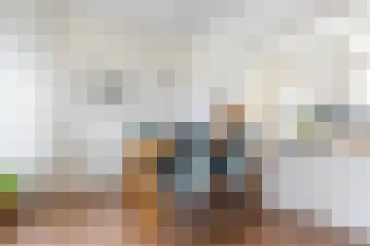 Thiedamawei 10 Damwâld thumbnail 21