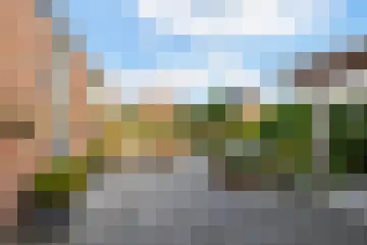 Thiedamawei 10 Damwâld thumbnail 25