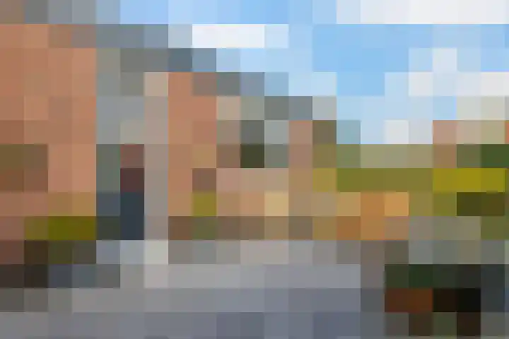 Thiedamawei 10 Damwâld thumbnail 27