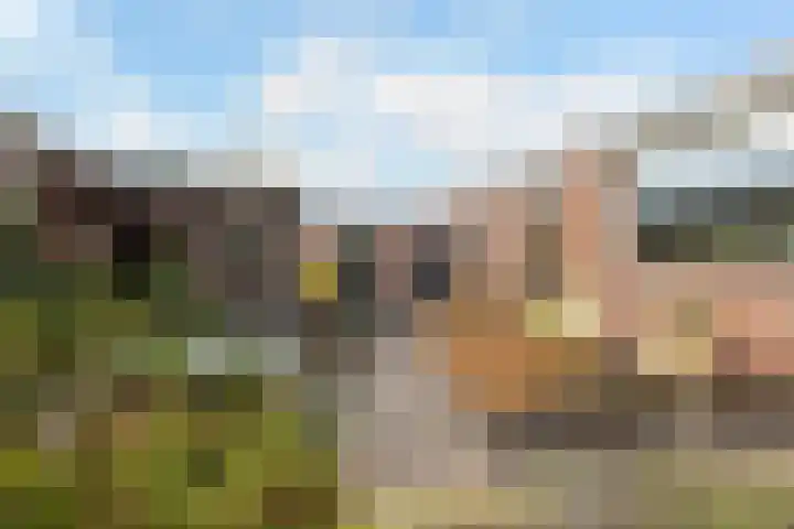 Thiedamawei 10 Damwâld thumbnail 29