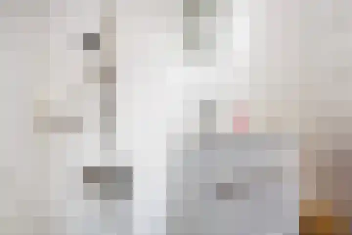 Thiedamawei 10 Damwâld thumbnail 39