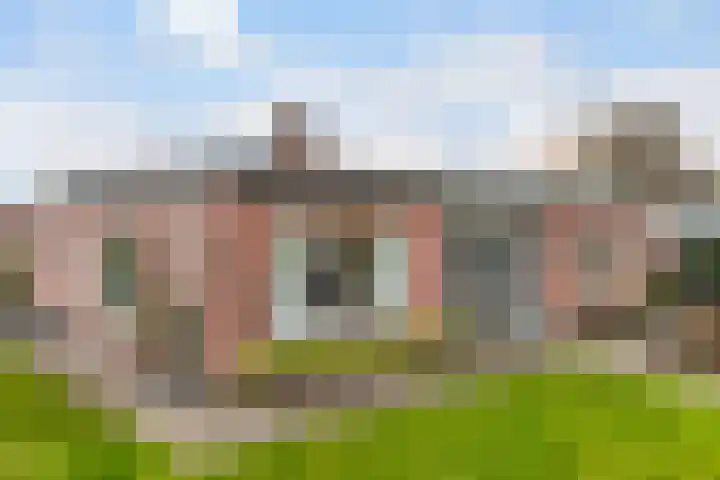 Thiedamawei 10 Damwâld thumbnail 41