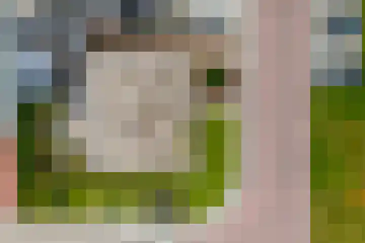 Thiedamawei 10 Damwâld thumbnail 43