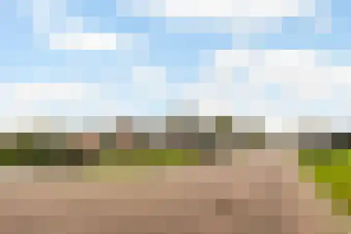 Thiedamawei 10 Damwâld thumbnail 5