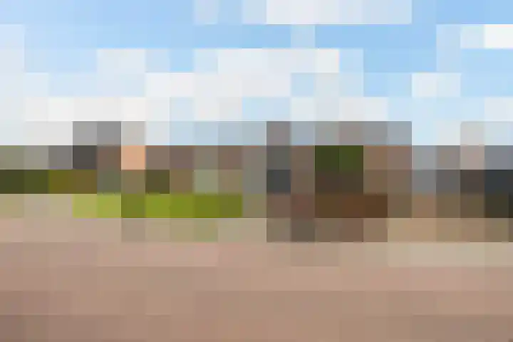 Thiedamawei 10 Damwâld thumbnail 6