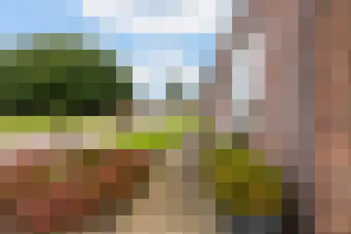 Thiedamawei 10 Damwâld thumbnail 9