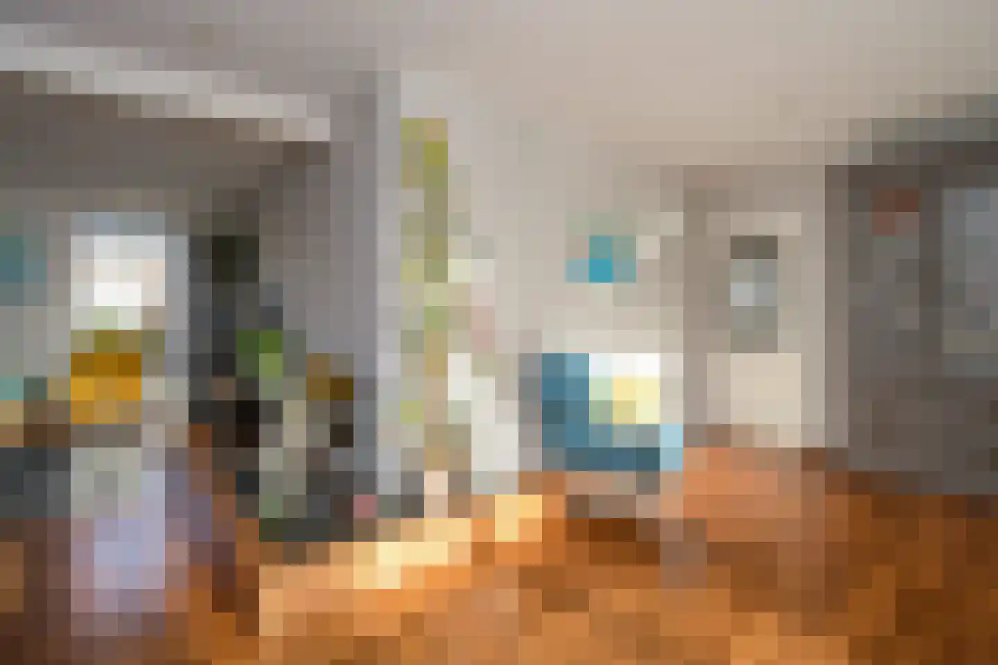 Thiedamawei 14 Damwâld thumbnail 11