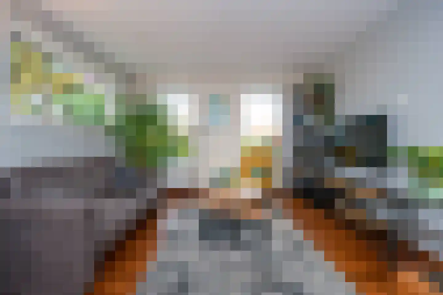 Thiedamawei 14 Damwâld thumbnail 15