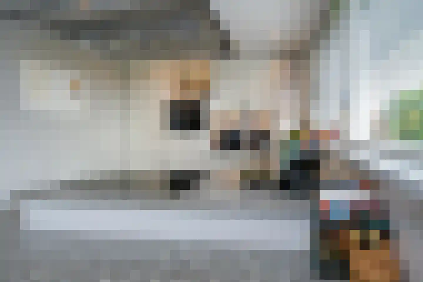 Thiedamawei 14 Damwâld thumbnail 18
