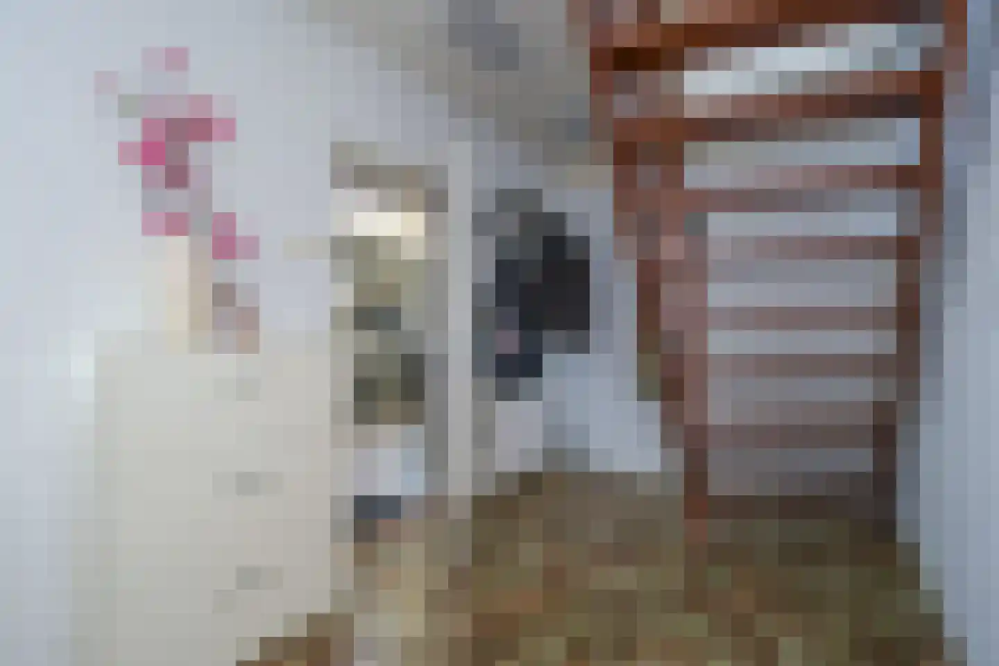 Thiedamawei 14 Damwâld thumbnail 27