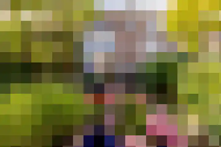 Thiedamawei 14 Damwâld thumbnail 28