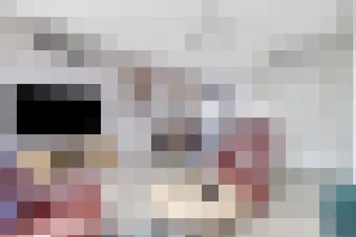 Thiedamawei 14 Damwâld thumbnail 4