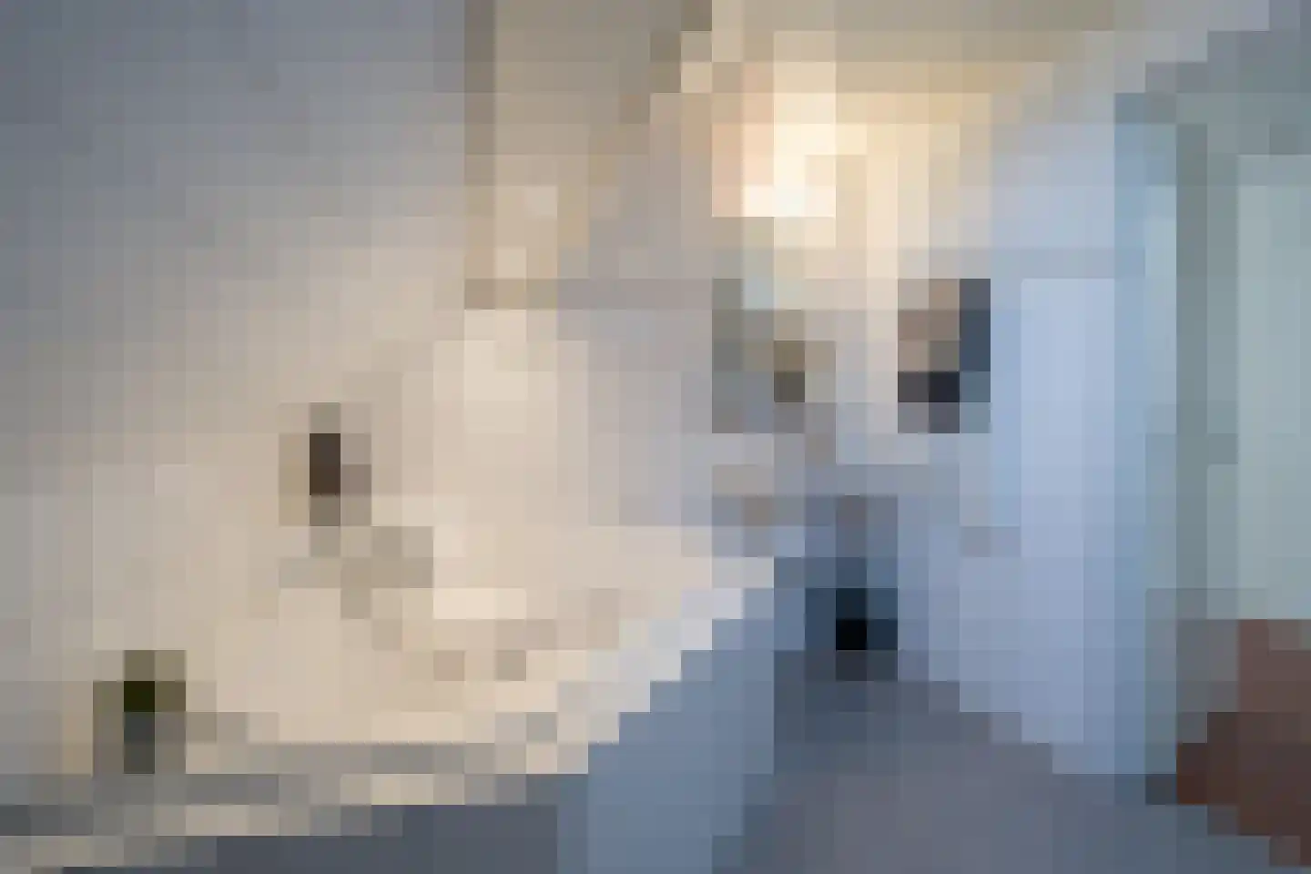 Thiedamawei 14 Damwâld thumbnail 42