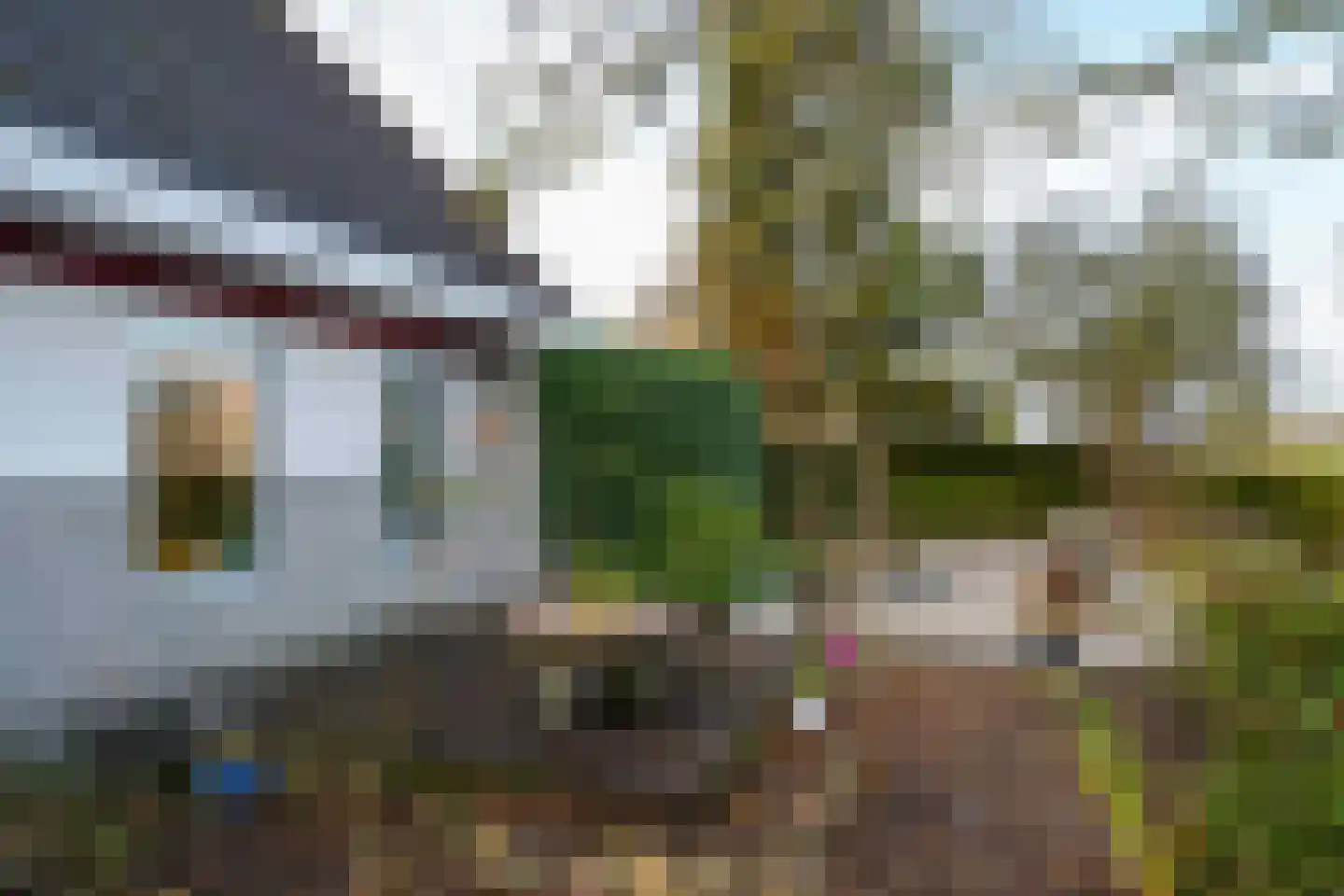 Thiedamawei 14 Damwâld thumbnail 50