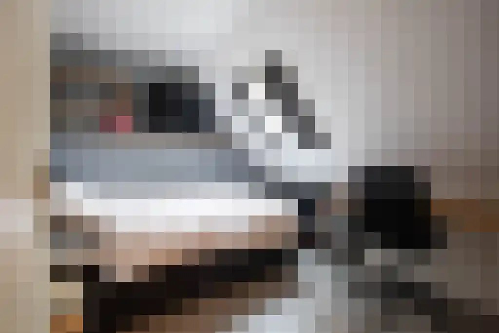 Thiedamawei 14 Damwâld thumbnail 52
