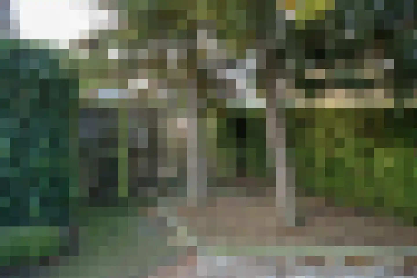 Thiedamawei 14 Damwâld thumbnail 53