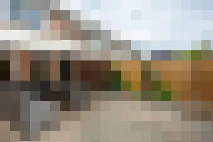 Thiedamawei 14 Damwâld thumbnail 54