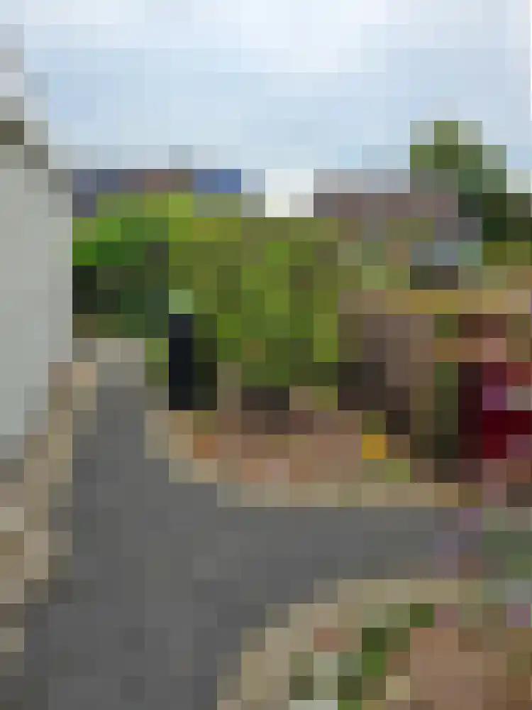 Thiedamawei 14 Damwâld thumbnail 55