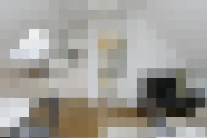 Thiedamawei 14 Damwâld thumbnail 56