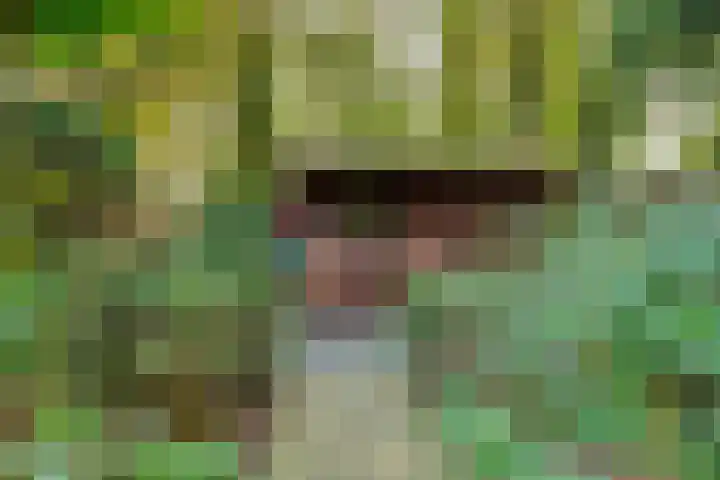 Thiedamawei 14 Damwâld thumbnail 58