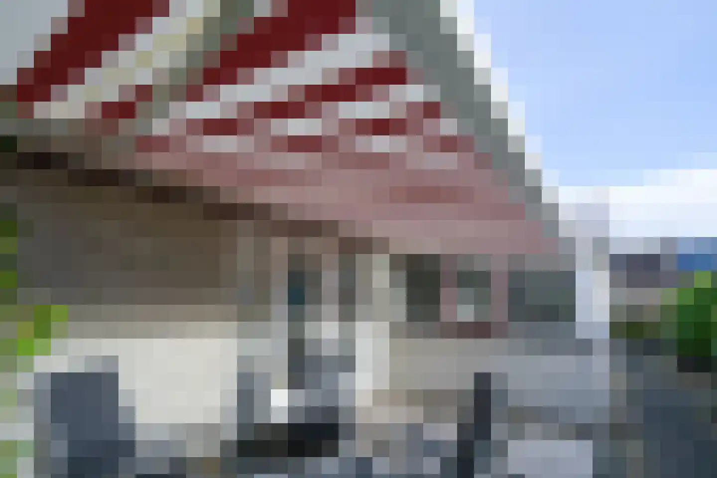 Thiedamawei 14 Damwâld thumbnail 58