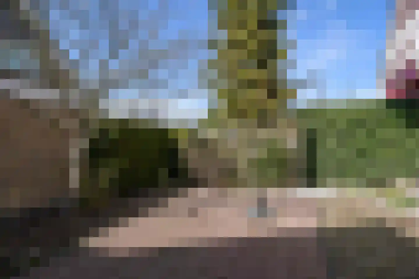 Thiedamawei 14 Damwâld thumbnail 67